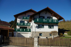 Отель Ferienwohnung Bierl, Боденмайс
